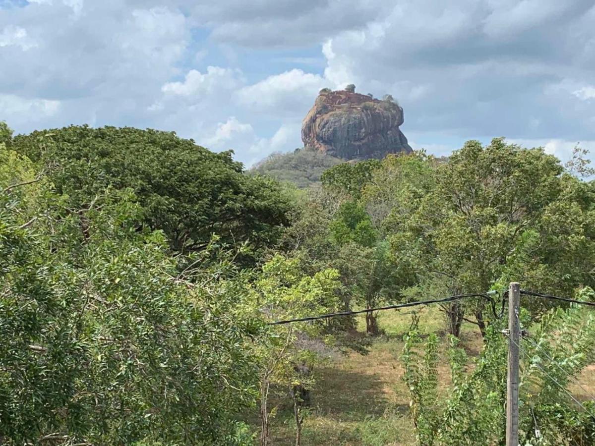 Hotel Sigiriya Rock Hide Exterior foto