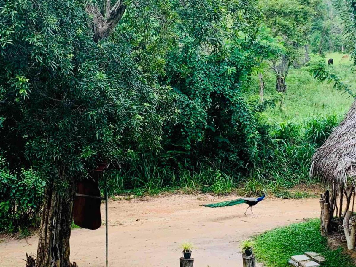 Hotel Sigiriya Rock Hide Exterior foto